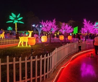 Landscape Lighting Portfolio